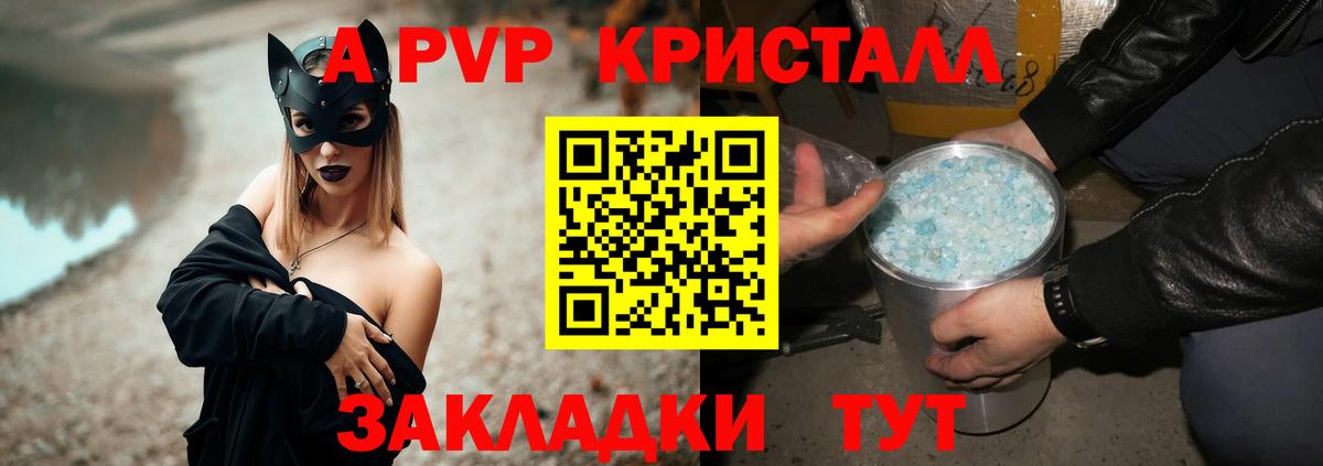 A PVP СК КРИС  Альфа ПВП СК  APVP  Северск  Вход с VPN 