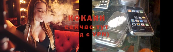 шишки Валдай