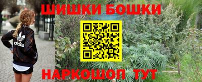 Альфа ПВП Будённовск