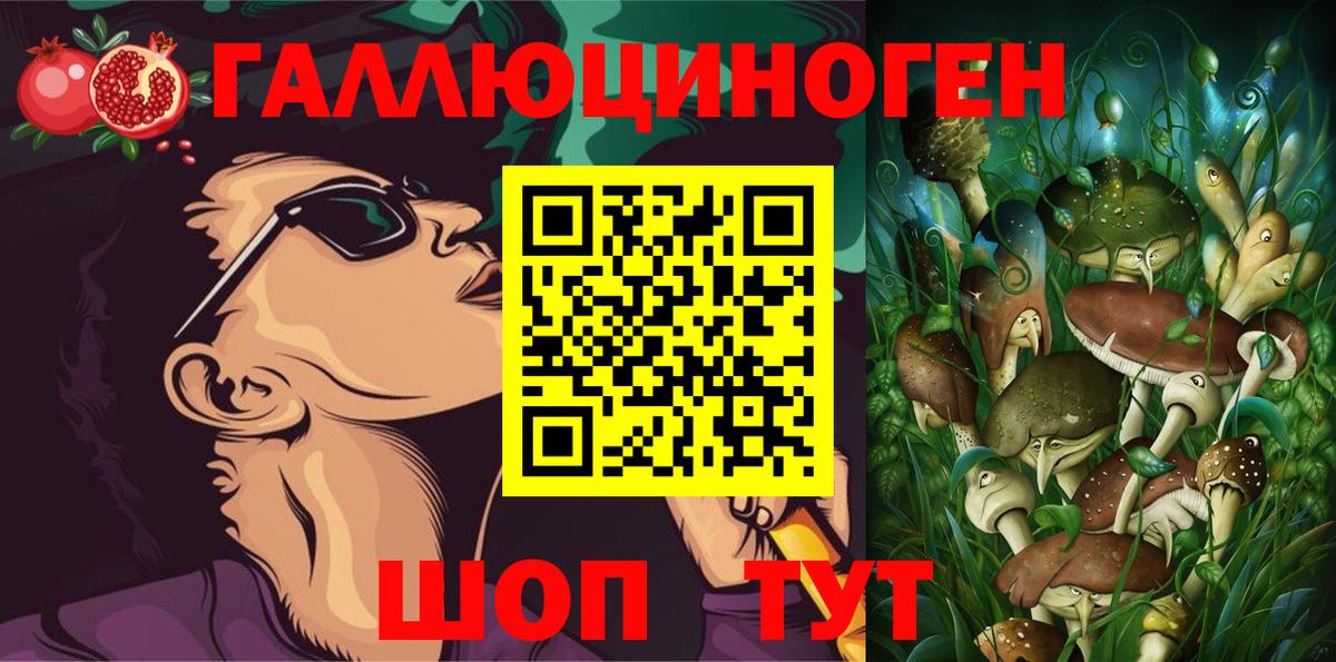 Псилоцибиновые грибы ЛСД Северск