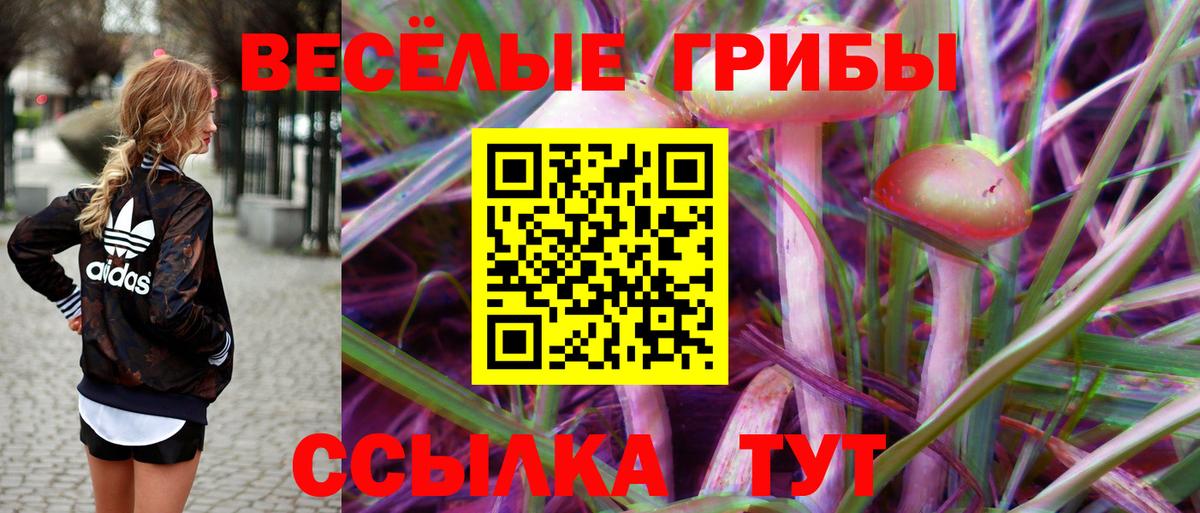 Галлюциногенные грибы ЛСД  Вход с VPN  Северск 