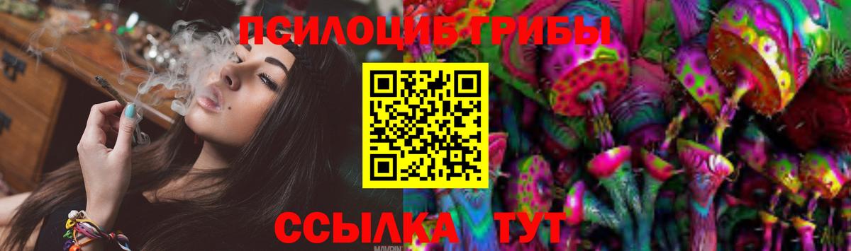 Псилоцибиновые грибы GOLDEN TEACHER Северск